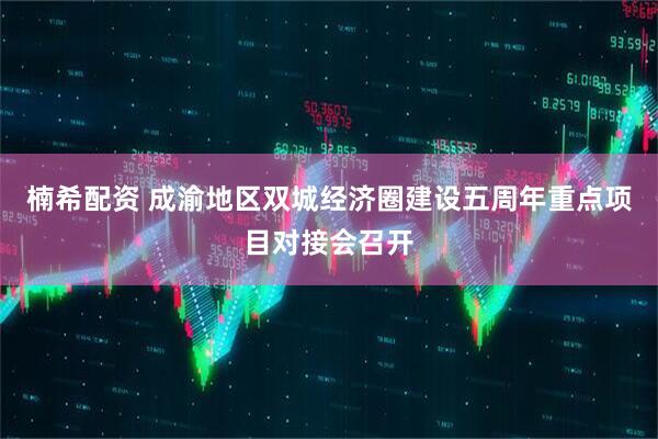 楠希配资 成渝地区双城经济圈建设五周年重点项目对接会召开
