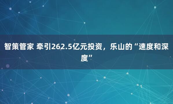 智策管家 牵引262.5亿元投资，乐山的“速度和深度”