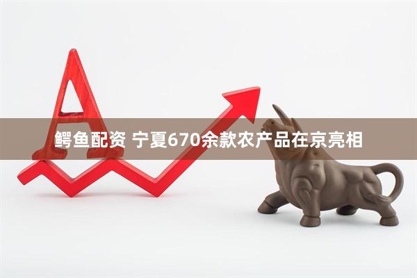 鳄鱼配资 宁夏670余款农产品在京亮相