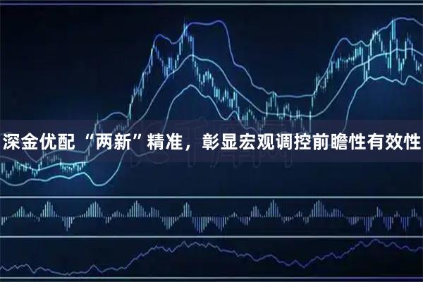 深金优配 “两新”精准，彰显宏观调控前瞻性有效性