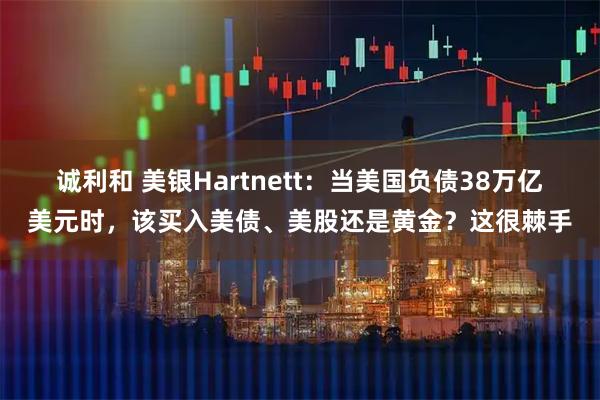 诚利和 美银Hartnett:当美国负债38万亿美元时,该买入美债、美股还是黄金?这很棘手