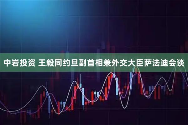 中岩投资 王毅同约旦副首相兼外交大臣萨法迪会谈