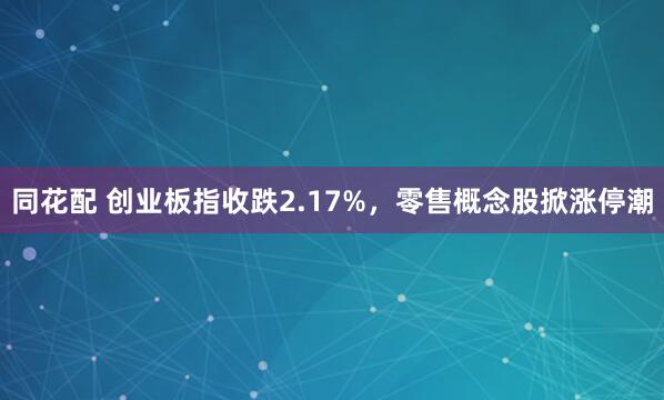 同花配 创业板指收跌2.17%，零售概念股掀涨停潮