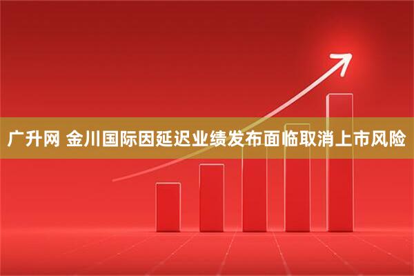 广升网 金川国际因延迟业绩发布面临取消上市风险