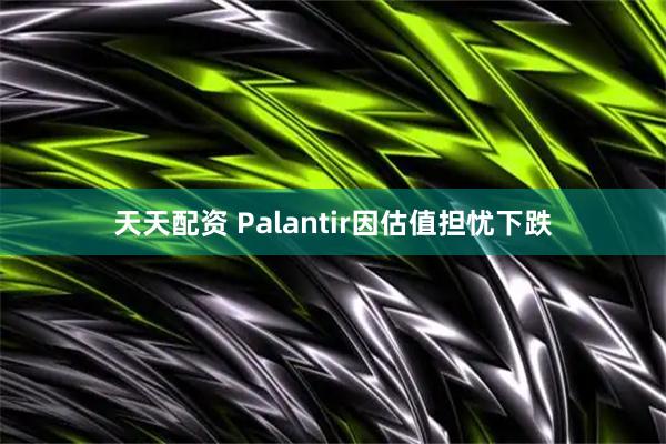 天天配资 Palantir因估值担忧下跌