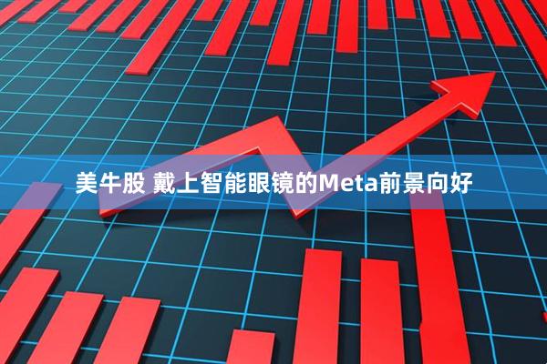 美牛股 戴上智能眼镜的Meta前景向好