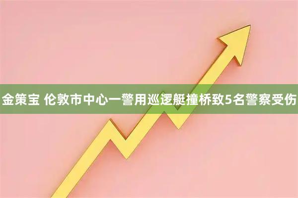 金策宝 伦敦市中心一警用巡逻艇撞桥致5名警察受伤